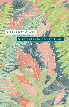 Shadow of a Cloud but No Cloud Phoenix Poets