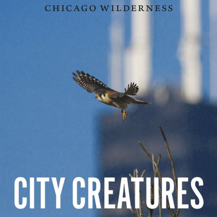 City Creatures: Animal Encounters in the Chicago Wilderness