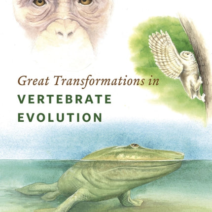 Great Transformations in Vertebrate Evolution