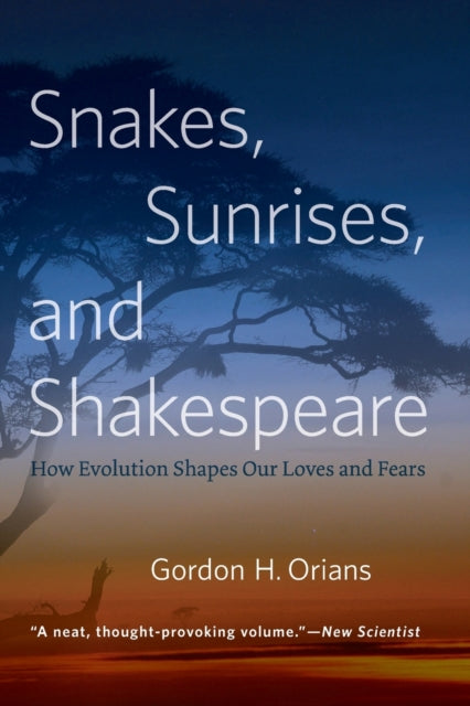 Snakes Sunrises and Shakespeare