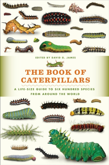 The Book of Caterpillars A LifeSize Guide to Six