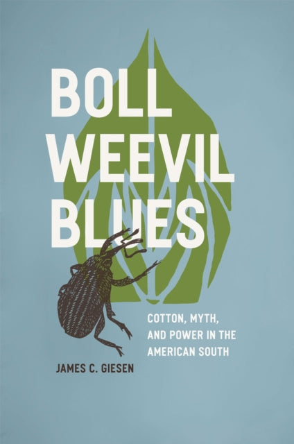 Boll Weevil Blues  Cotton Myth and Power in the
