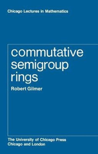 Commutative Semigroup Rings