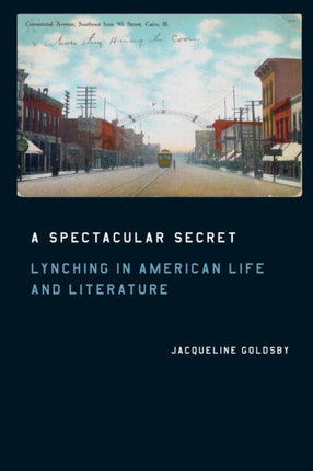 A Spectacular Secret: Lynching in American Life and Literature