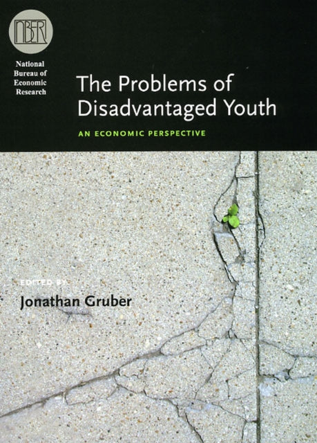 The Problems of Disadvantaged Youth  An Economic