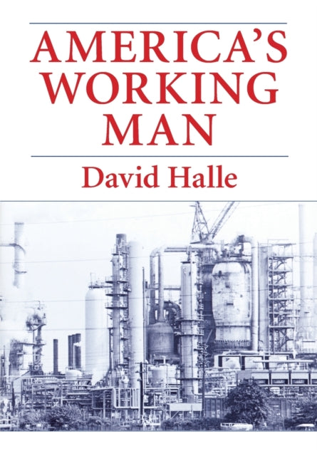 America's Working Man: Work, Home, and Politics Among Blue Collar Property Owners