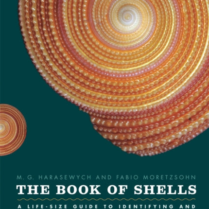 The Book of Shells