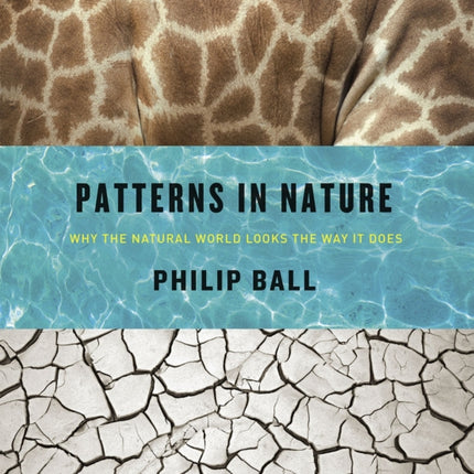 Patterns in Nature: Why the Natural World Looks the Way it Does