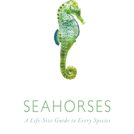 Seahorses  A LifeSize Guide to Every Species