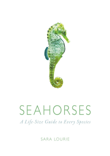 Seahorses  A LifeSize Guide to Every Species