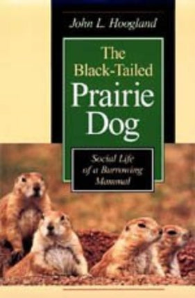 Black Tailed Prairie Dog  Social Life of a