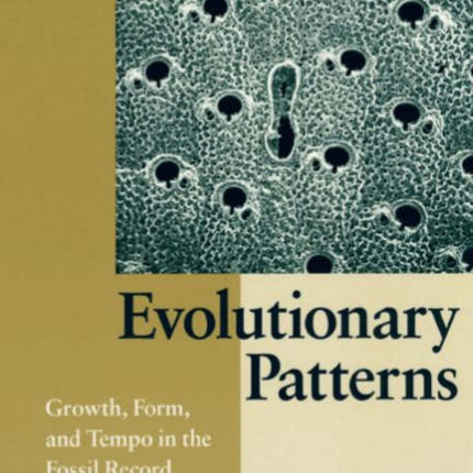 Evolutionary Patterns  Growth Form  Tempo in the