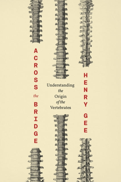 Across the Bridge: Understanding the Origin of the Vertebrates