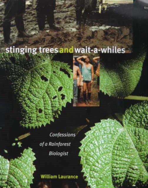 Stinging Trees and Wait-a-Whiles: Confessions of a Rainforest Biologist