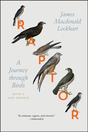 Raptor A Journey Through Birds