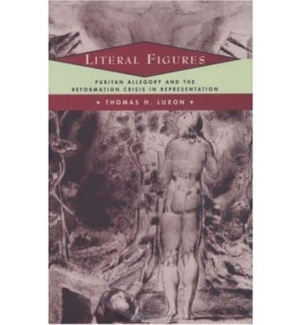 Literal Figures  Puritan Allegory and the
