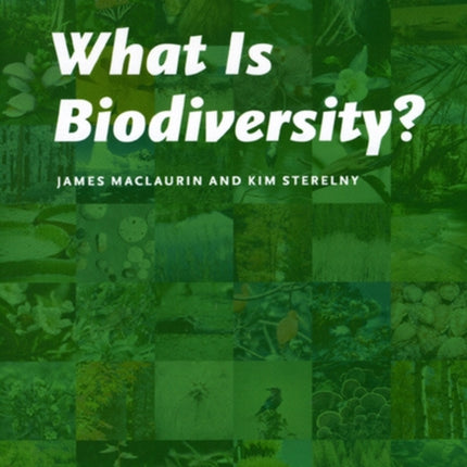 What Is Biodiversity?