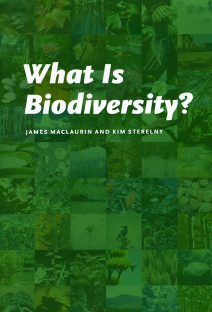 What Is Biodiversity?