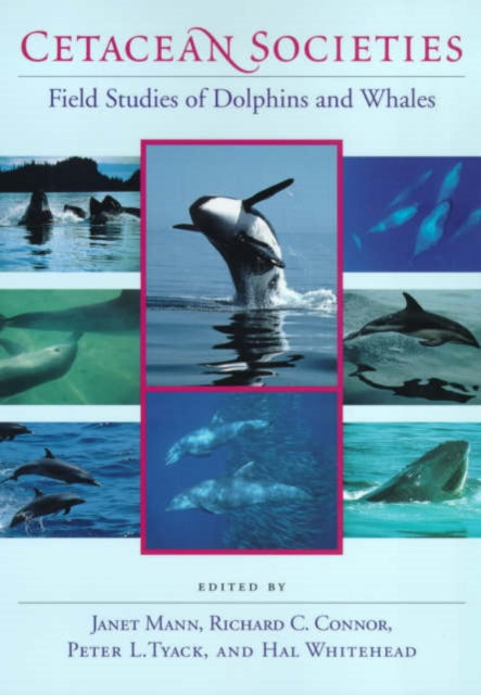 Cetacean Societies: Field Studies of Dolphins and Whales