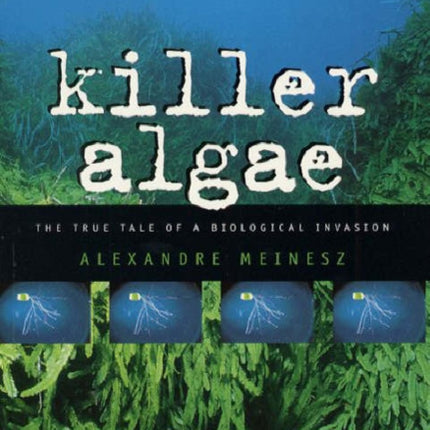 Killer Algae