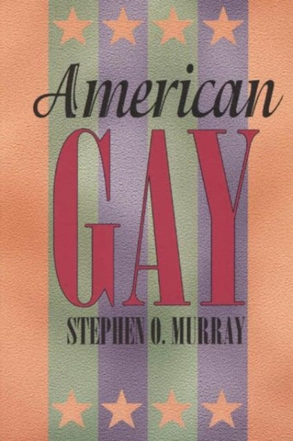American Gay Worlds of Desire
