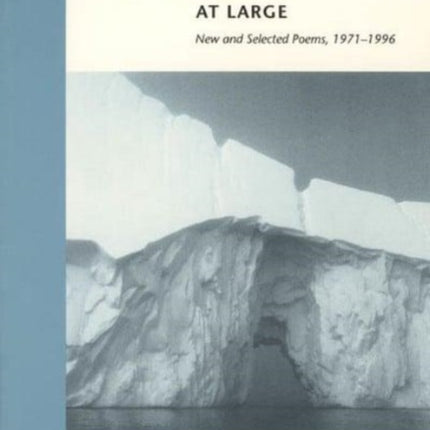 The World at Large  New  Selected Poems 19711996