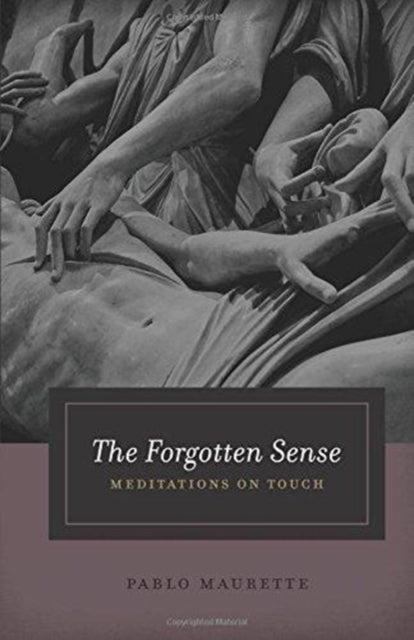 The Forgotten Sense: Meditations on Touch