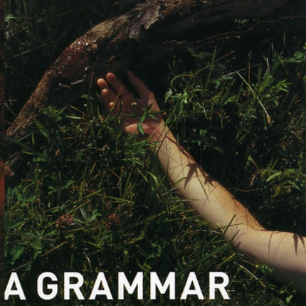 A Grammer of Murder  Violent Scenes and Film Form