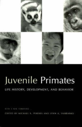 Juvenile Primates Life History Development and