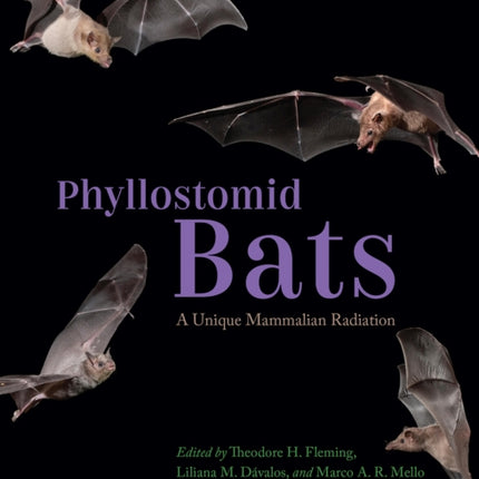 Phyllostomid Bats: A Unique Mammalian Radiation