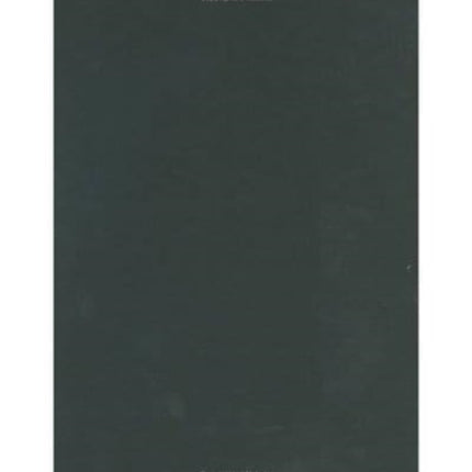 Mammals of the Neotropics Volume 2  The Southern