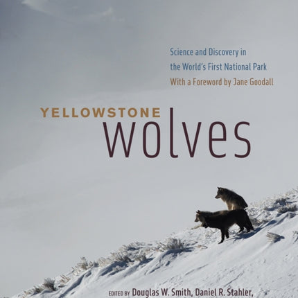 Yellowstone Wolves: Science and Discovery in the World's First National Park