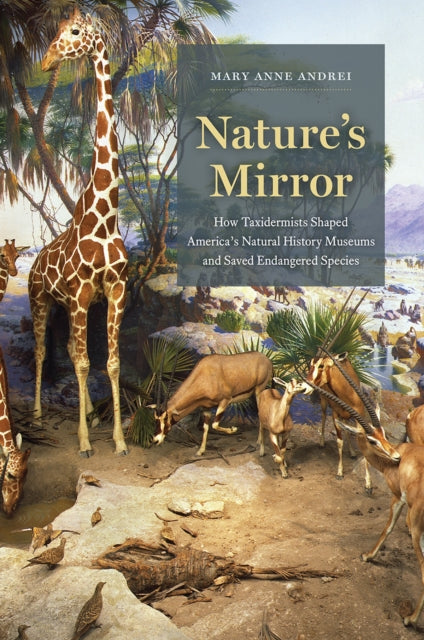 Nature's Mirror: How Taxidermists Shaped America’s Natural History Museums and Saved Endangered Species