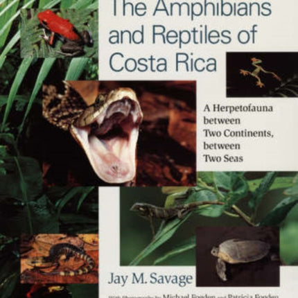 The Amphibians and Reptiles of Costa Rica: A Herpetofauna between Two Continents, between Two Seas