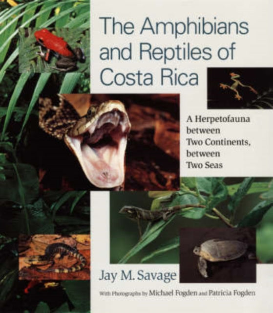 The Amphibians and Reptiles of Costa Rica: A Herpetofauna between Two Continents, between Two Seas