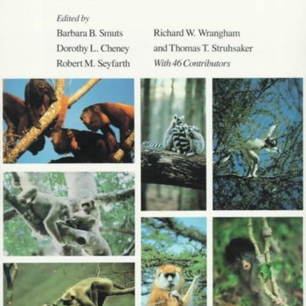 Primate Societies