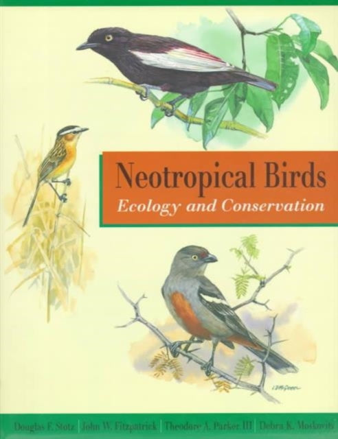 Neotropical Birds