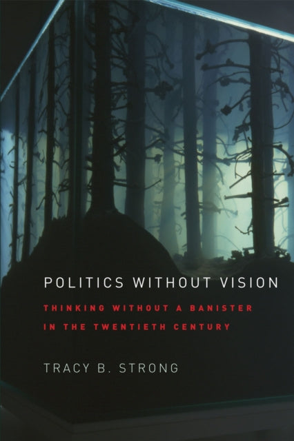 Politics without Vision: Thinking without a Banister in the Twentieth Century