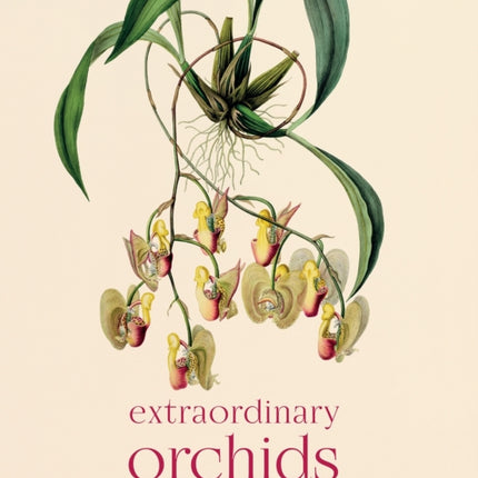 Extraordinary Orchids