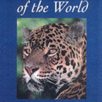 Wild Cats of the World