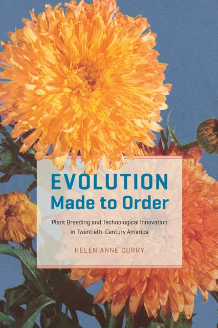 Evolution Made to Order: Plant Breeding and Technological Innovation in Twentieth-Century America