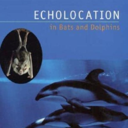 Echolocation in Bats and Dolphins