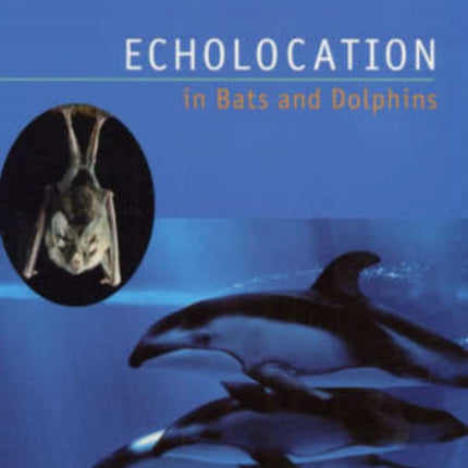 Echolocation in Bats and Dolphins