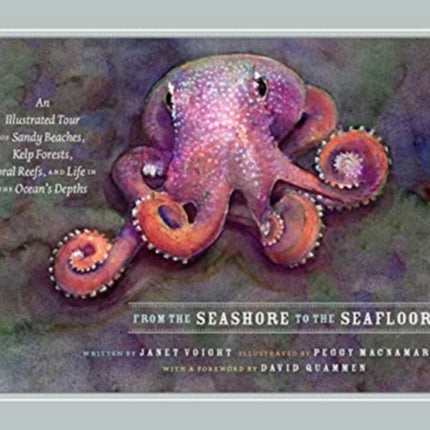 From the Seashore to the Seafloor: An Illustrated Tour of Sandy Beaches, Kelp Forests, Coral Reefs, and Life in the Ocean's Depths