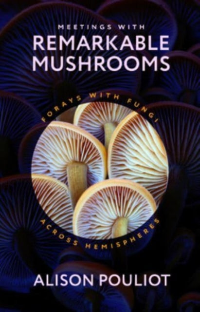 Meetings with Remarkable Mushrooms: Forays with Fungi across Hemispheres