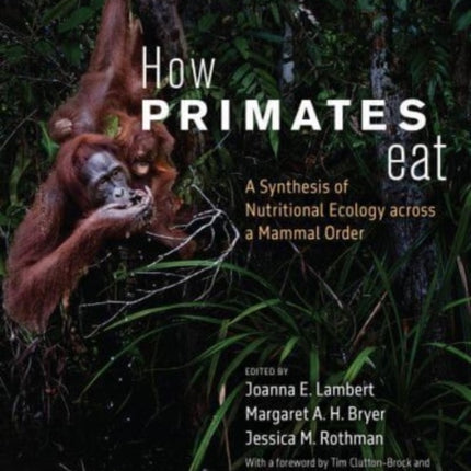 How Primates Eat