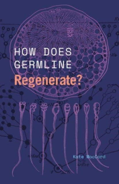 How Does Germline Regenerate?