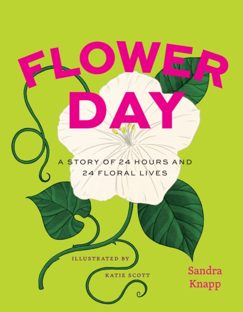 Flower Day  A Story of 24 Hours and 24 Floral