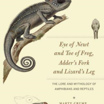 Eye of Newt and Toe of Frog Adders Fork and