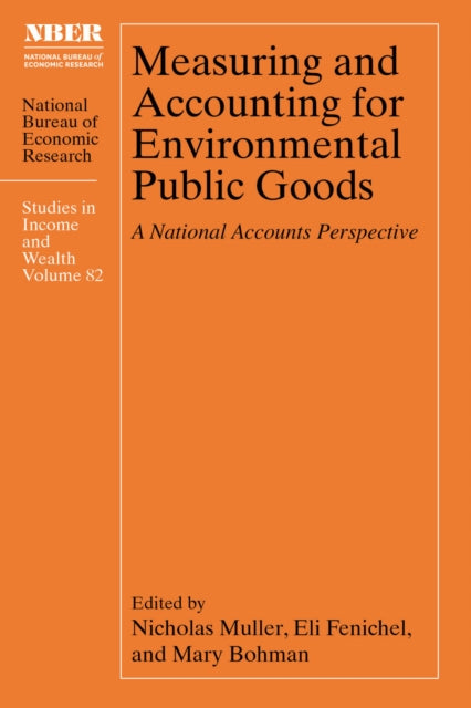 Measuring and Accounting for Environmental Publi